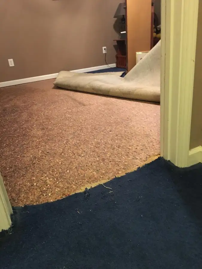 Carpet pad removal revealing water damage during Water Mitigation Services in Elizabeth