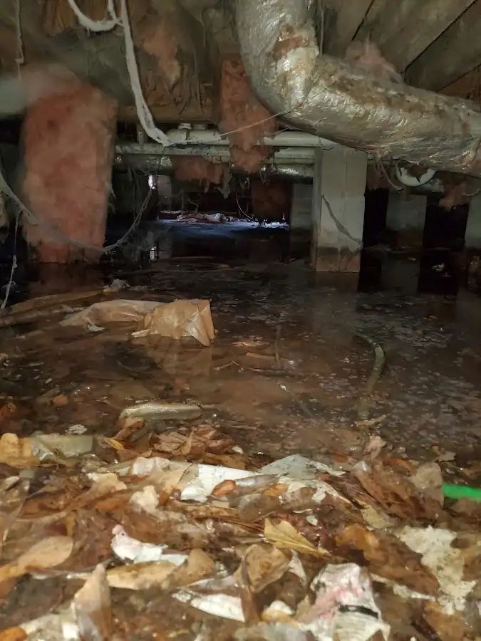 Crawl space flood assessment for Leak Detection & Repair in Elizabeth