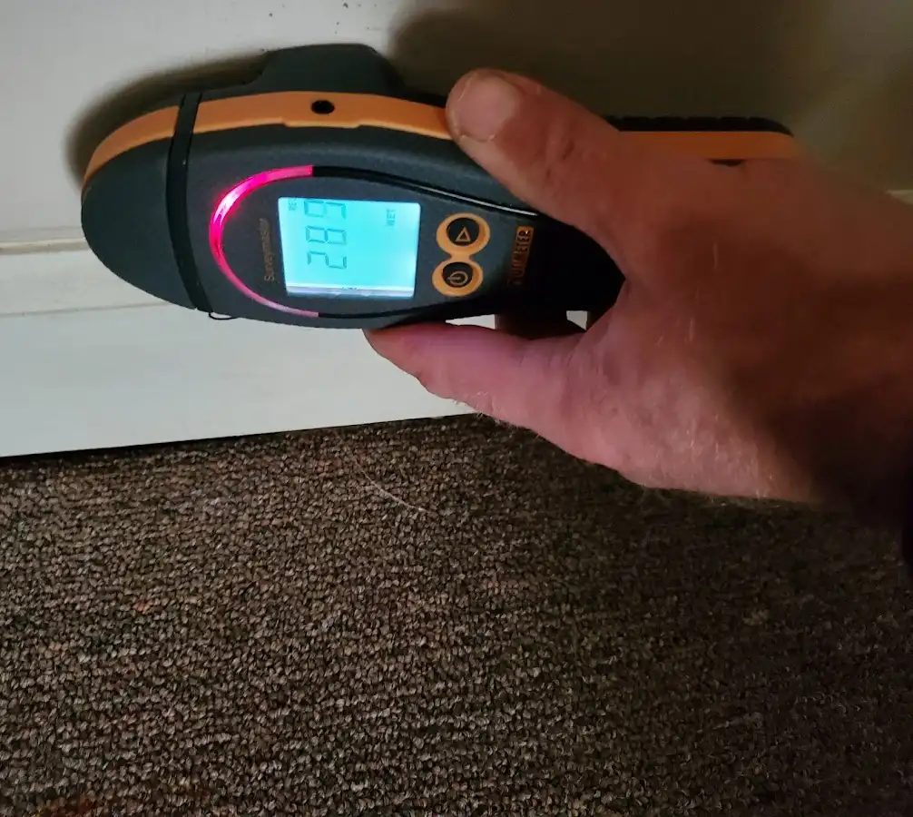Moisture detection at baseboard during Sewage Cleanup & Sanitation in Elizabeth